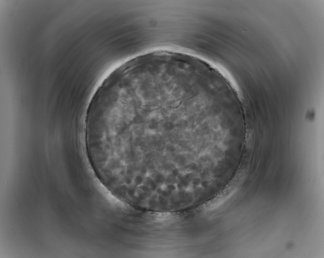 X0000100970903200807221206