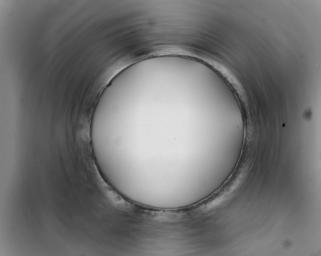 X0000100970905200807221206