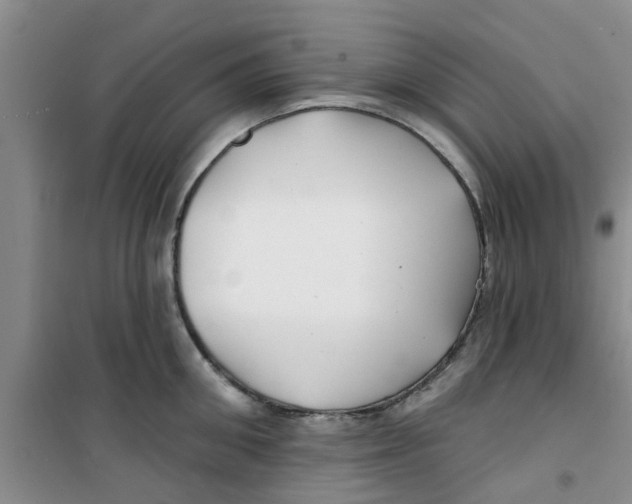 X0000100970906200807221206