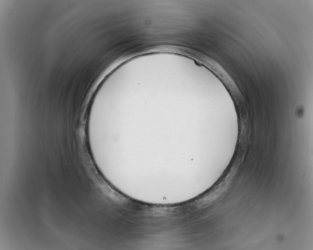 X0000100970908200807221206