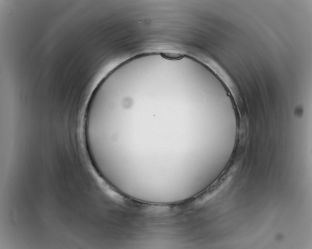 X0000100970909200807221206