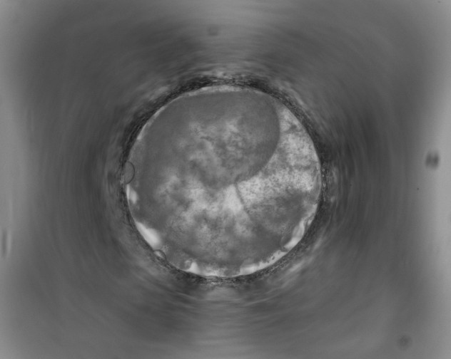 X0000100970913200807221205