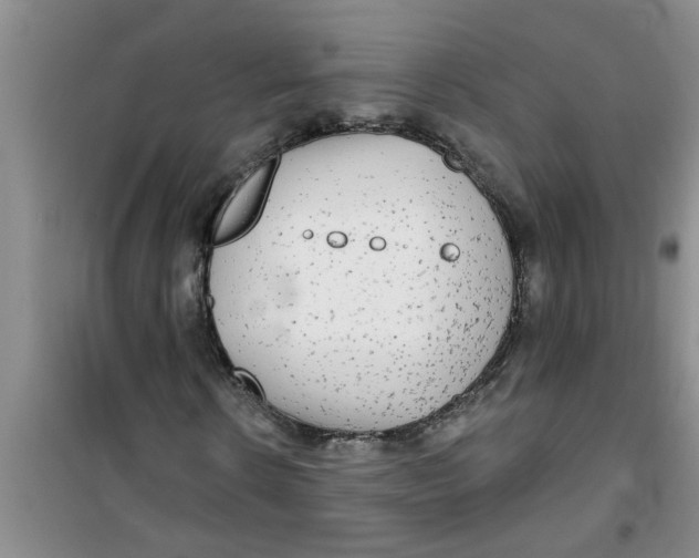 X0000100970914200807221205