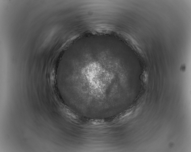 X0000100970915200807221205