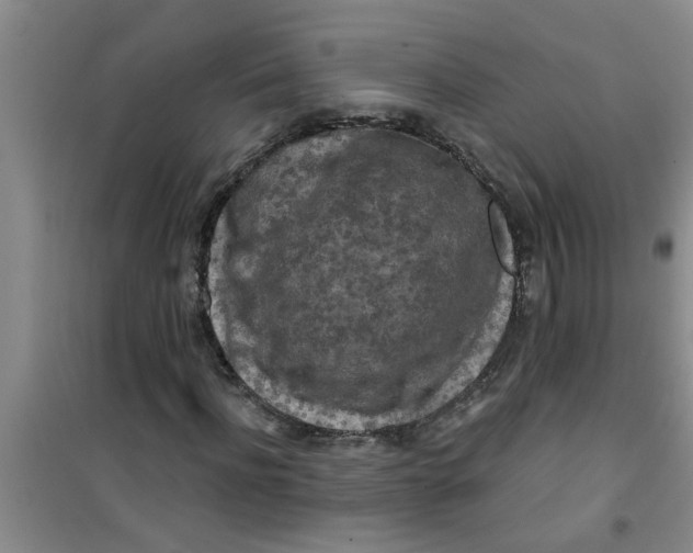 X0000100970916200807221205