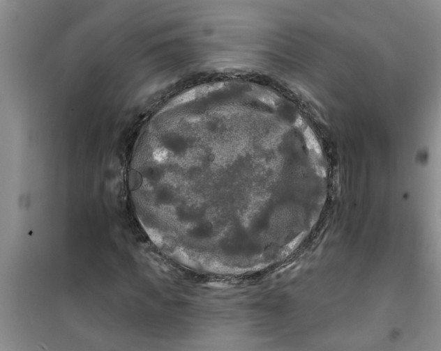 X0000100970917200807221205