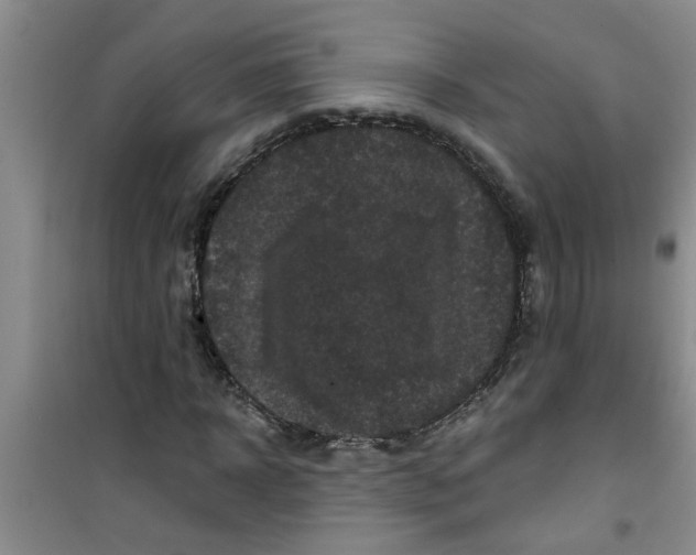 X0000100970918200807221205