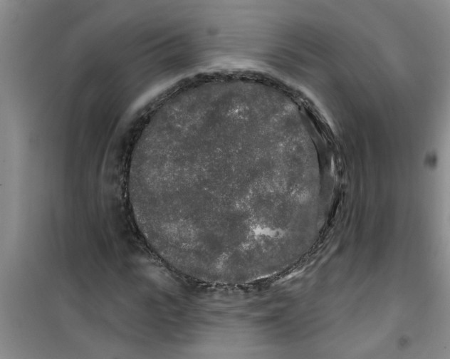 X0000100970919200807221205
