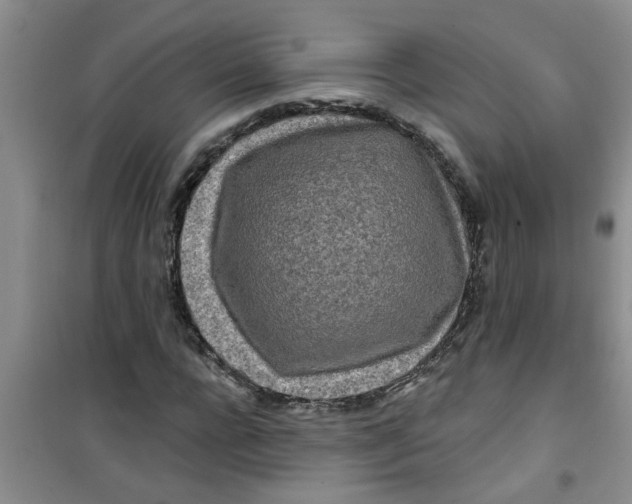 X0000100970920200807221205