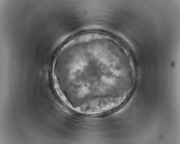 X0000100970921200807221205