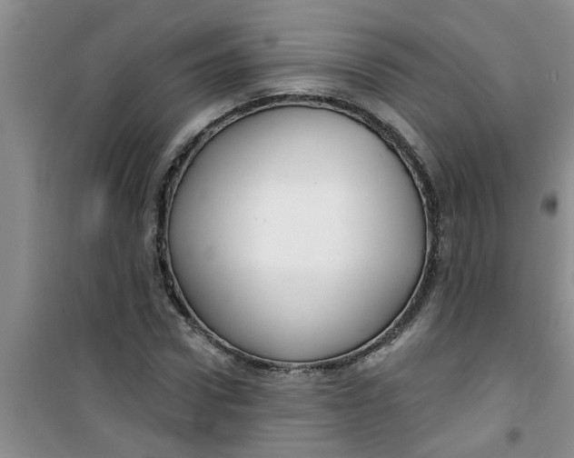 X0000100970922200807221206