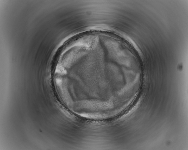 X0000100970923200807221206
