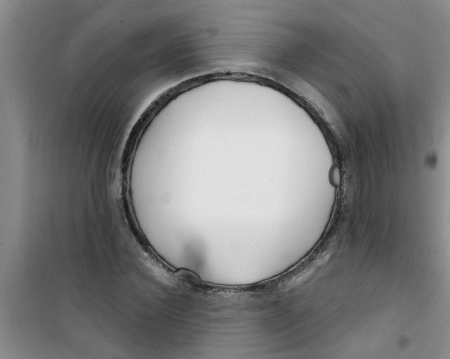 X0000100970924200807221206