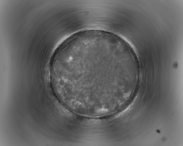 X0000100970925200807221206