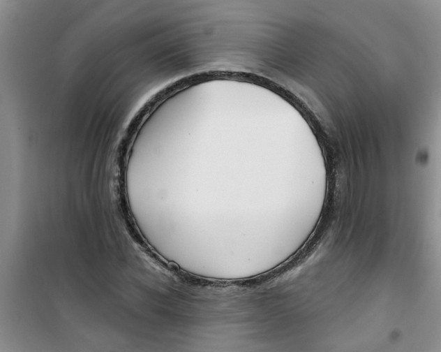 X0000100970926200807221206