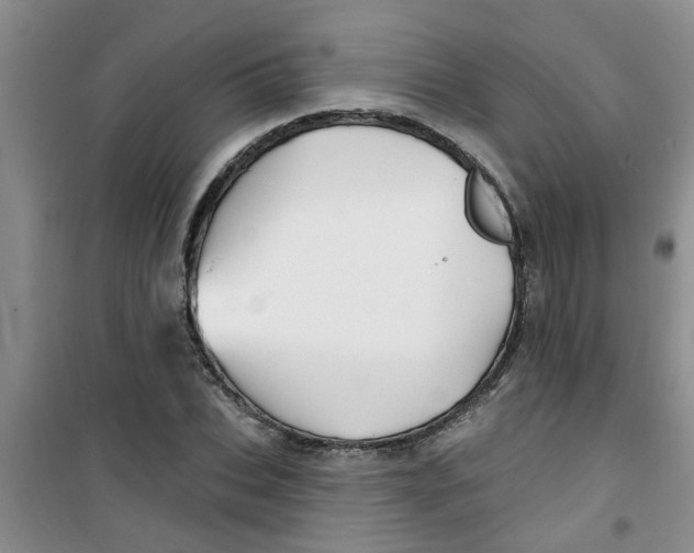 X0000100970927200807221206