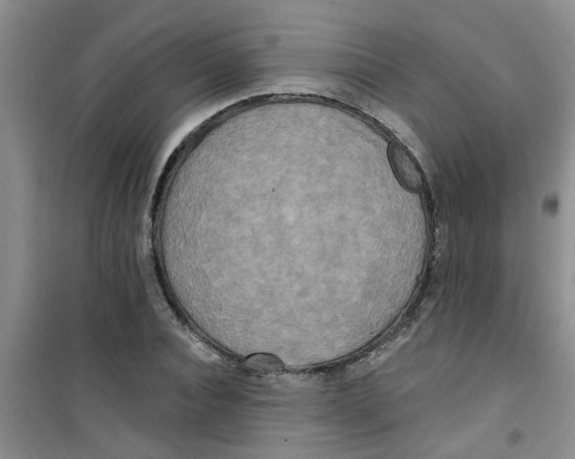 X0000100970928200807221206