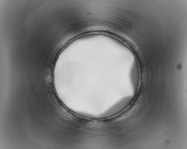 X0000100970929200807221206