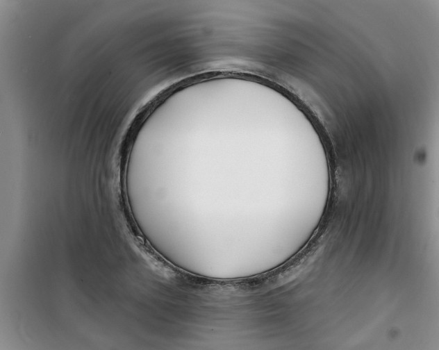 X0000100970931200807221206