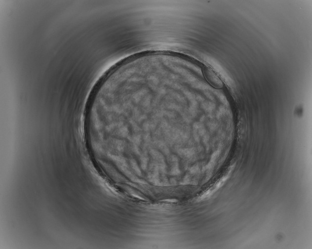 X0000100970932200807221206
