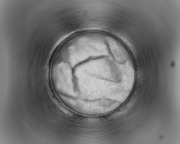 X0000100970933200807221206