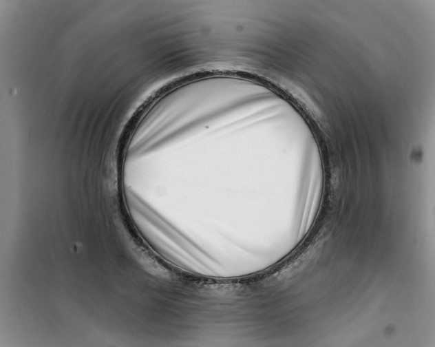 X0000100970934200807221206