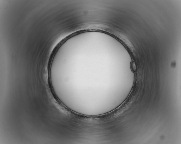 X0000100970936200807221206