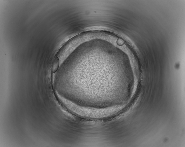 X0000100970937200807221206
