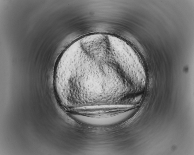 X0000100970938200807221206
