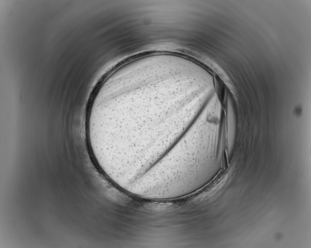 X0000100970939200807221206
