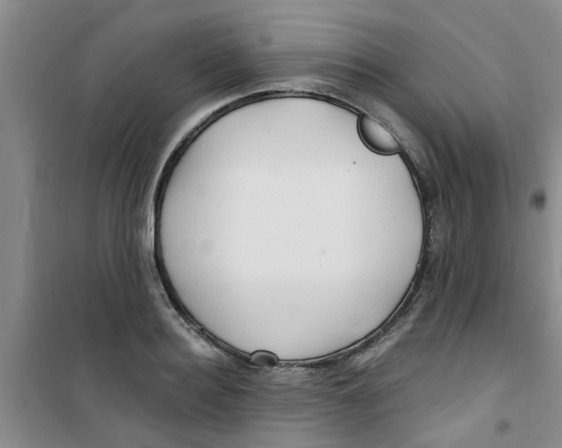 X0000100970940200807221206