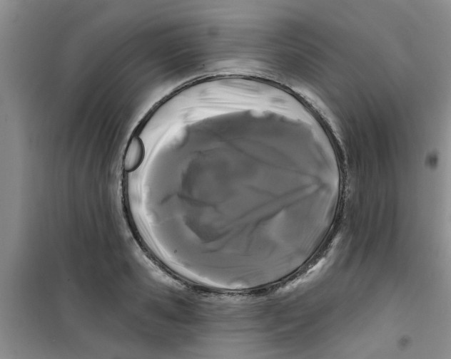 X0000100970941200807221206