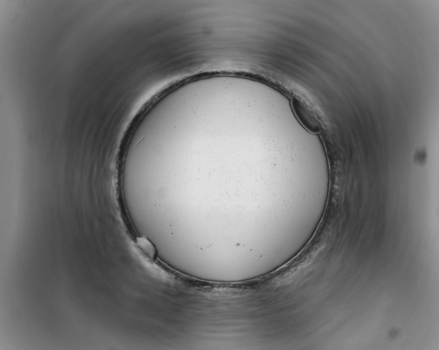X0000100970942200807221206