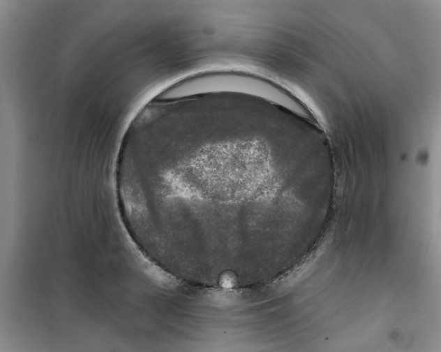 X0000100970943200807221206