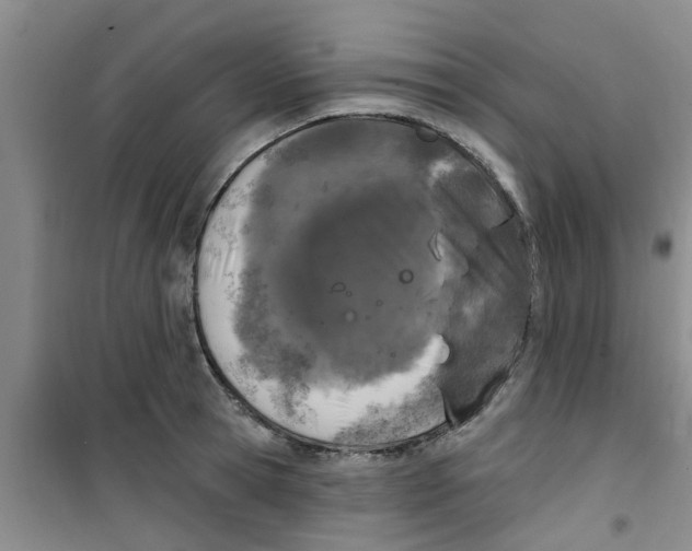 X0000100970945200807221206