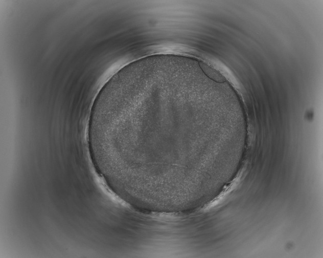 X0000100970946200807221206