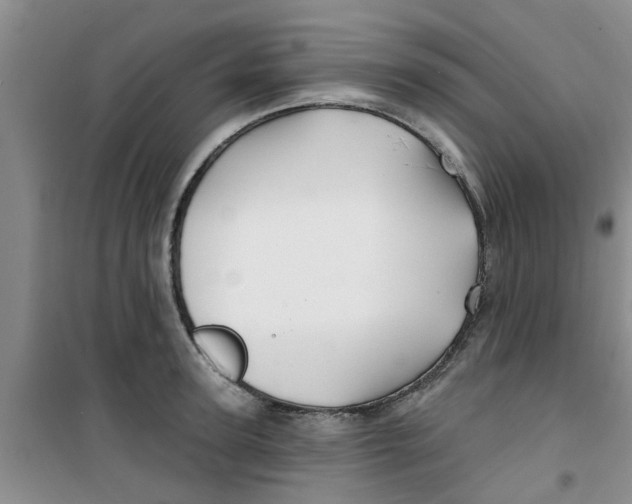 X0000100970947200807221206