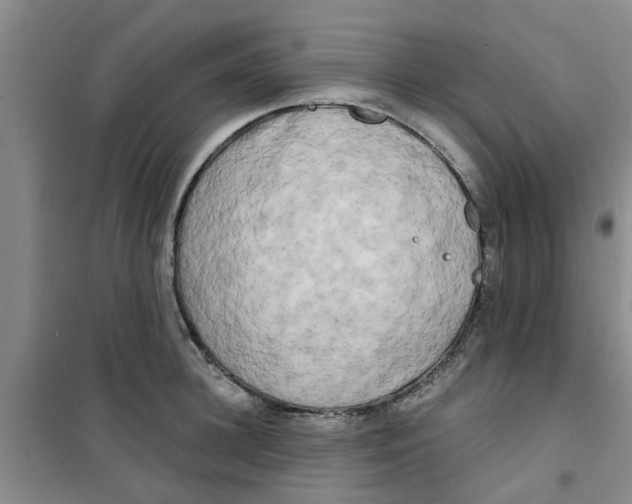 X0000100970948200807221206