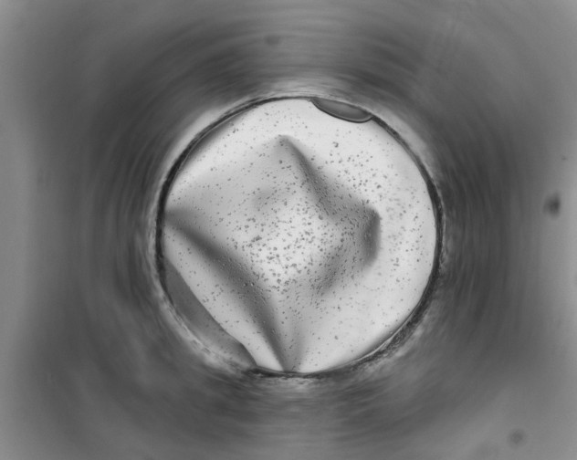 X0000100970949200807221206