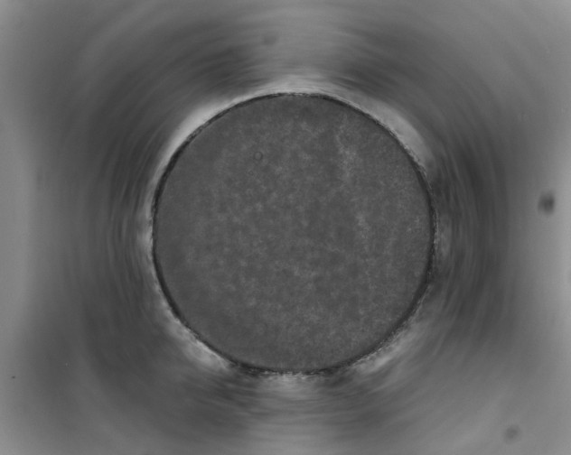 X0000100970950200807221206