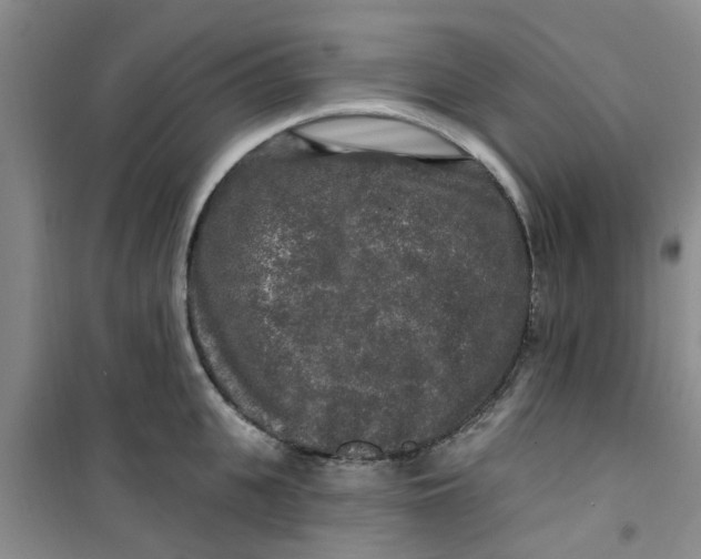 X0000100970951200807221206