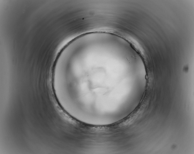 X0000100970952200807221206