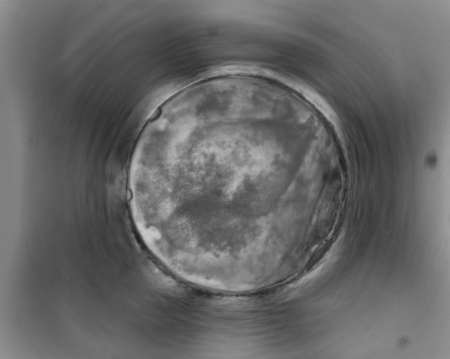 X0000100970953200807221206