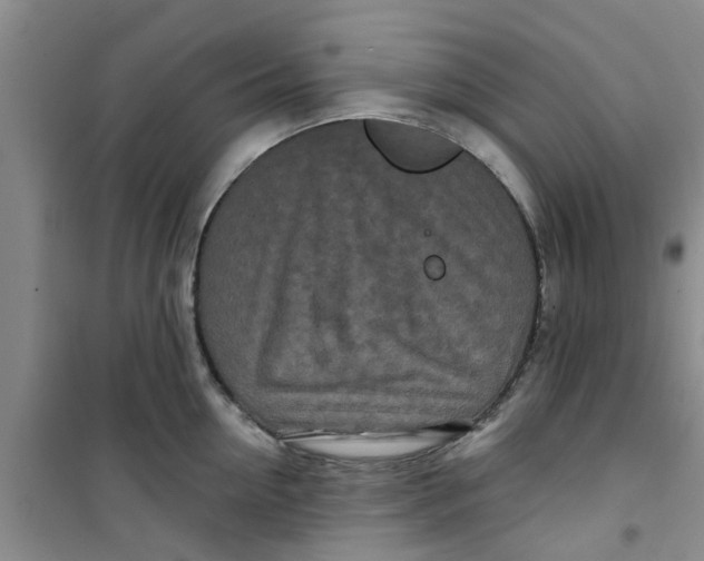 X0000100970954200807221206