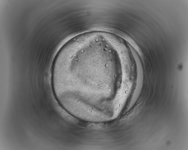 X0000100970955200807221206