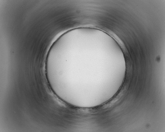 X0000100970956200807221206