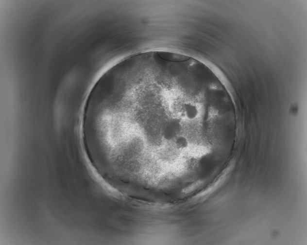 X0000100970957200807221206