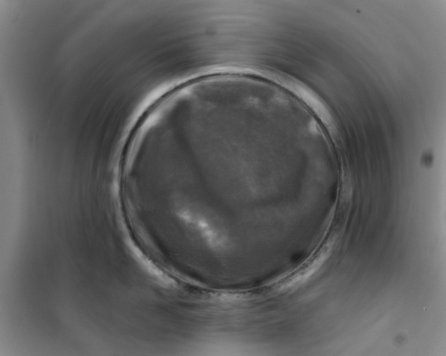 X0000100970958200807221206