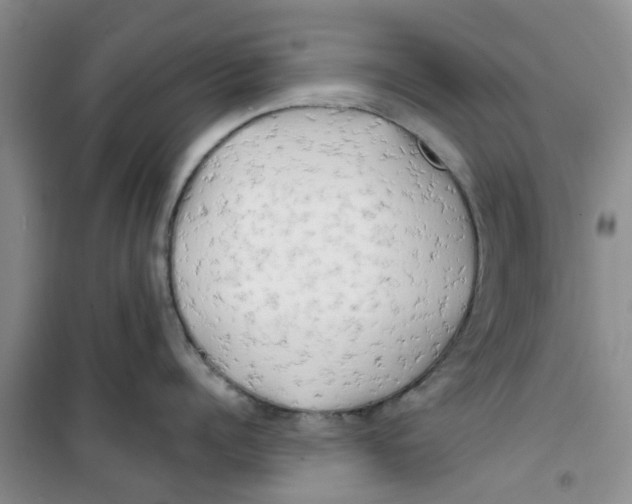 X0000100970960200807221206