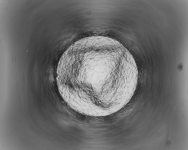 X0000100970962200807221205